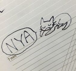 猫と読書が好きです。音楽はレミオロメンとかnano：RIREとかをよく聴いています。