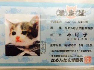 どうも、みけ子です。広島からやってきました！一緒にカープを応援しましょう！好きな選手は達川です。Perfumeも好きじゃけぇ。